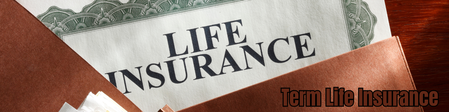 Section 11-3: Term Life Insurance Banner
